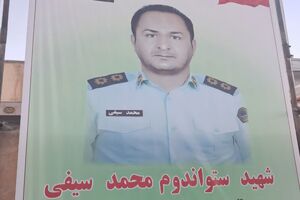 جنگ ملت است، من جا نمی‌زنم/ روایت همسر شهید محمد سیفی از آخرین روزهای زندگی‌اش