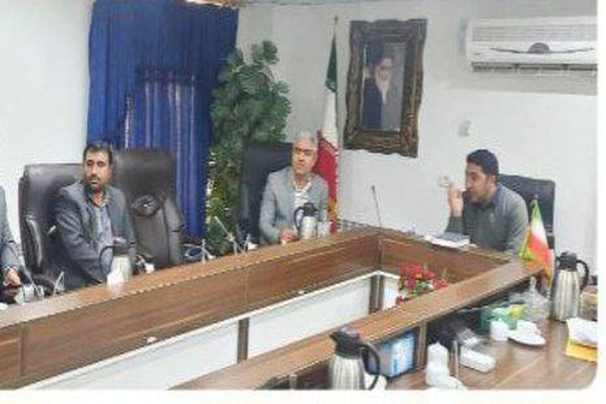 شهرداری