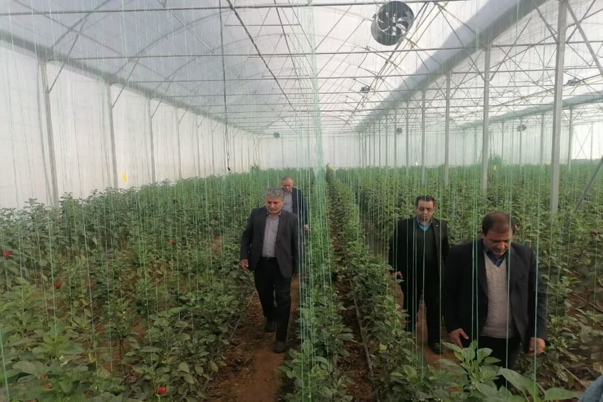طرح کشاورزی