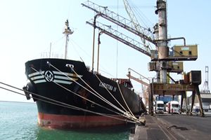 ۶۶ هزارتن نهاده های دامی در بندر شهید رجایی تخلیه شد 