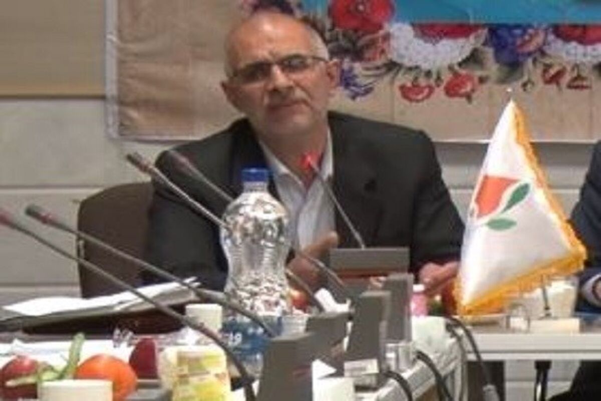 چاوشی زاده