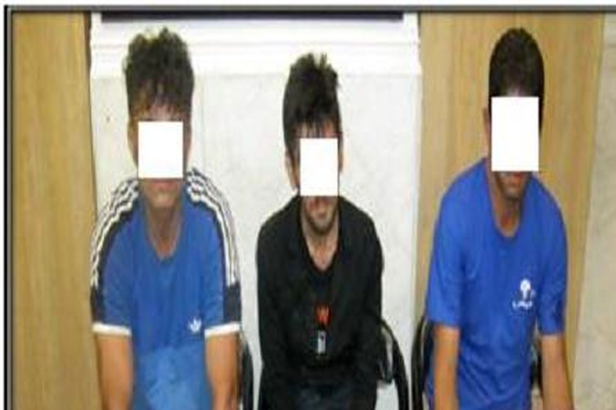 دستگیری باند سرقت لوازم خودرو