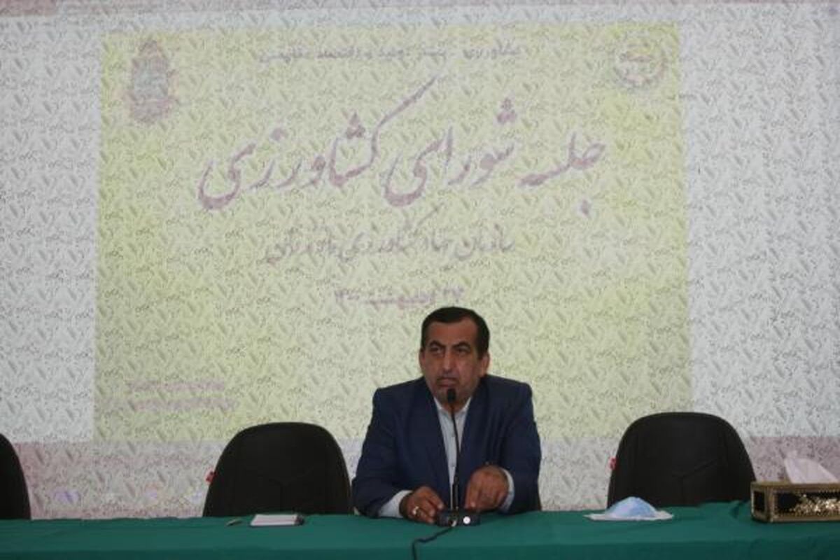 شهیدی فر