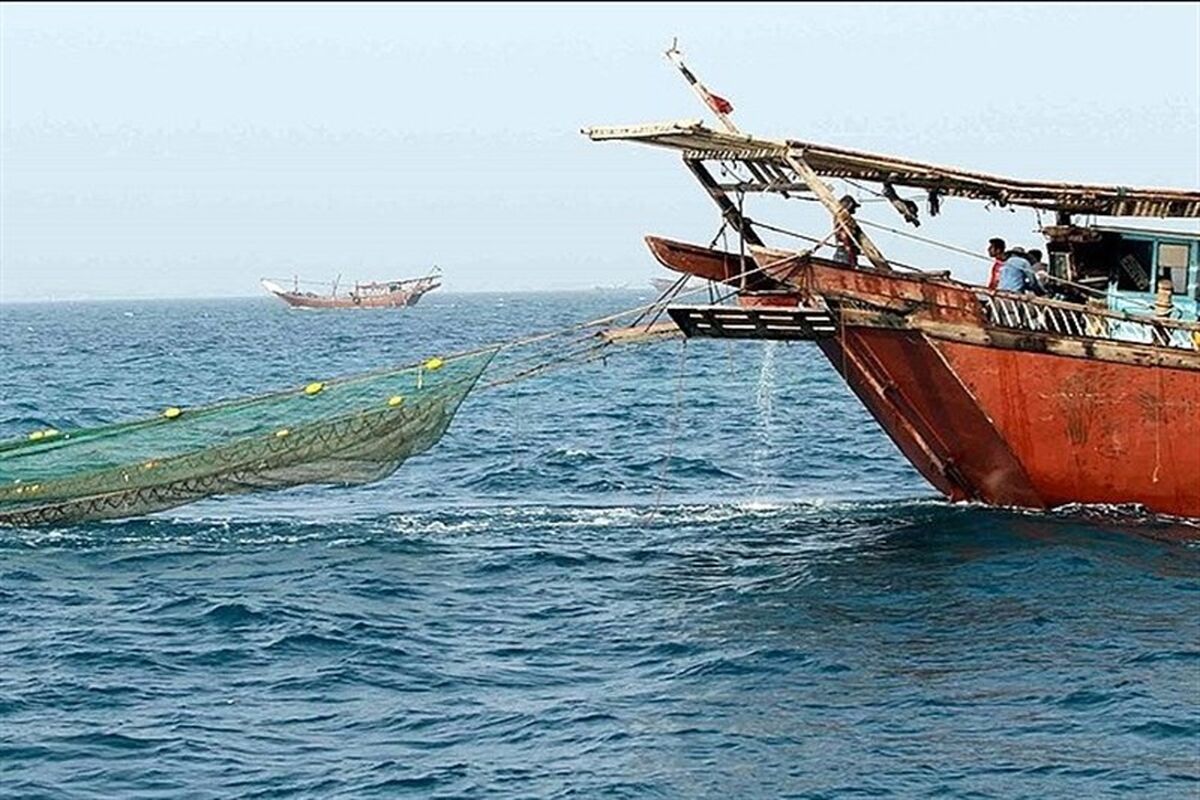 بندر صیادی