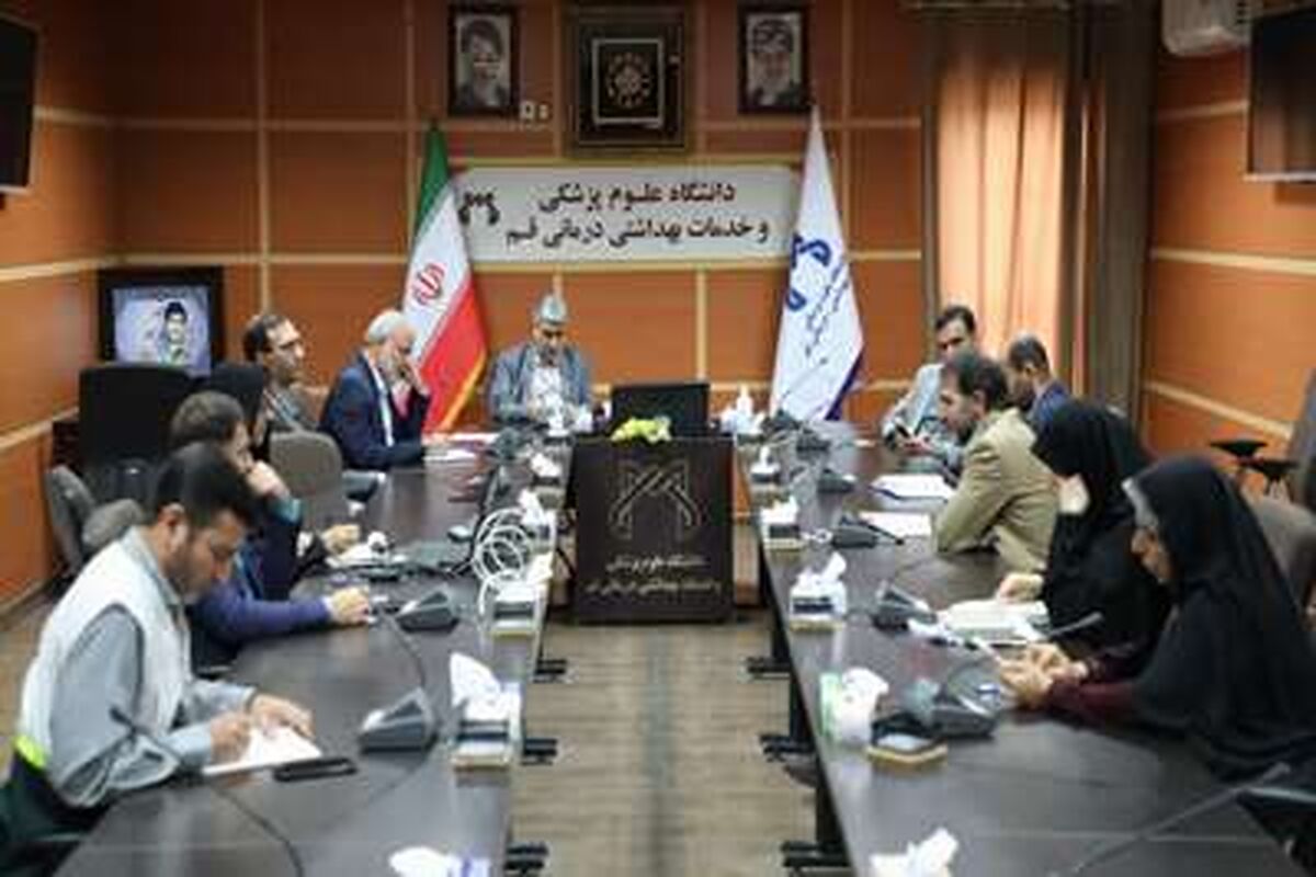 مهدی مصری