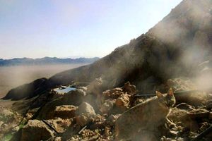 ثبت نخستین تصویر از گربه وحشی در پارک ملی کلاه قاضی در اصفهان