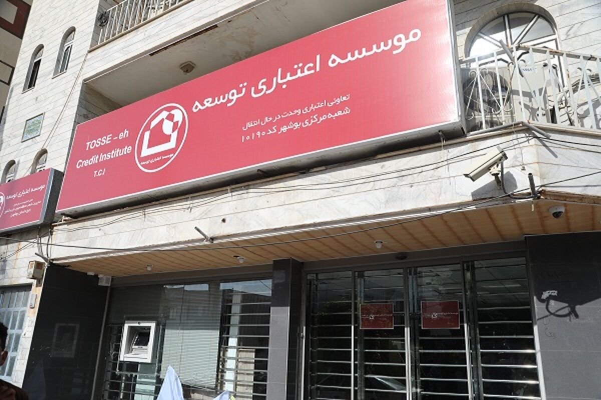 موسسه توسعه 