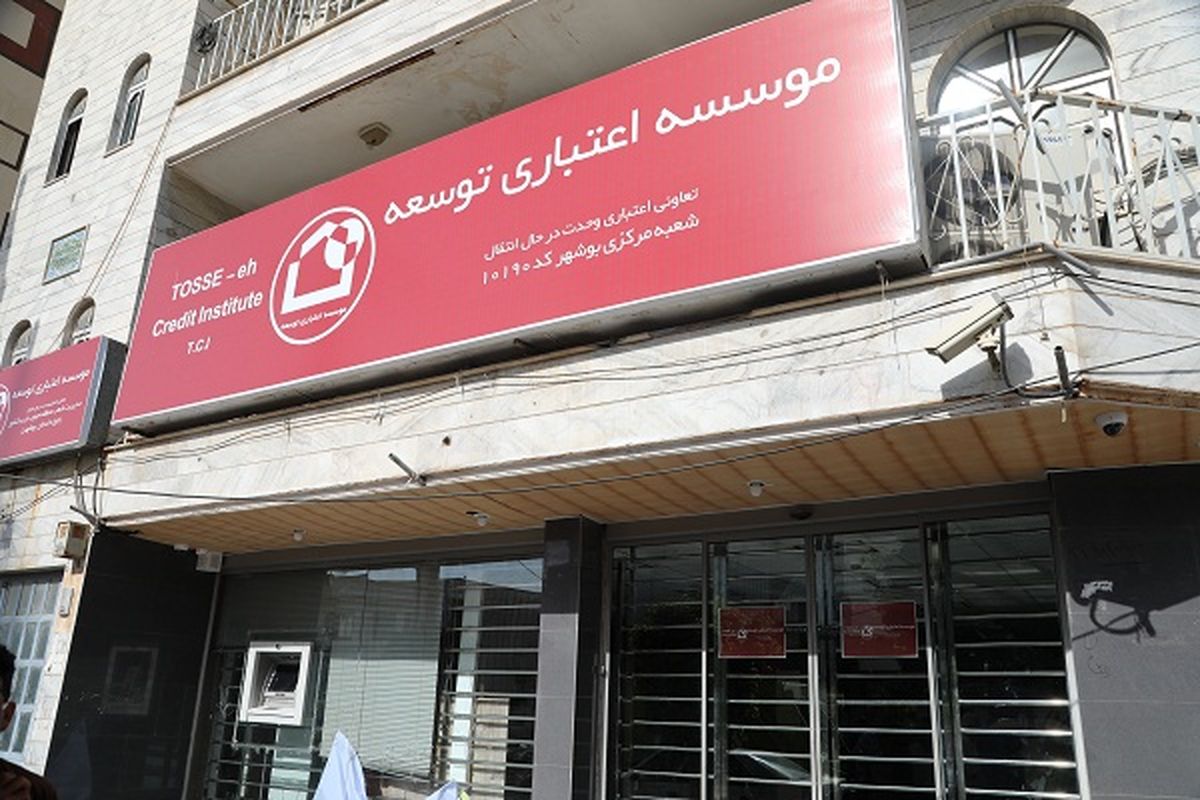 موسسه توسعه 