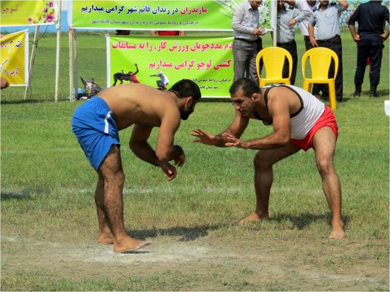 لزوم راهاندازی آموزشگاههای کشتی لوچو در مازندران