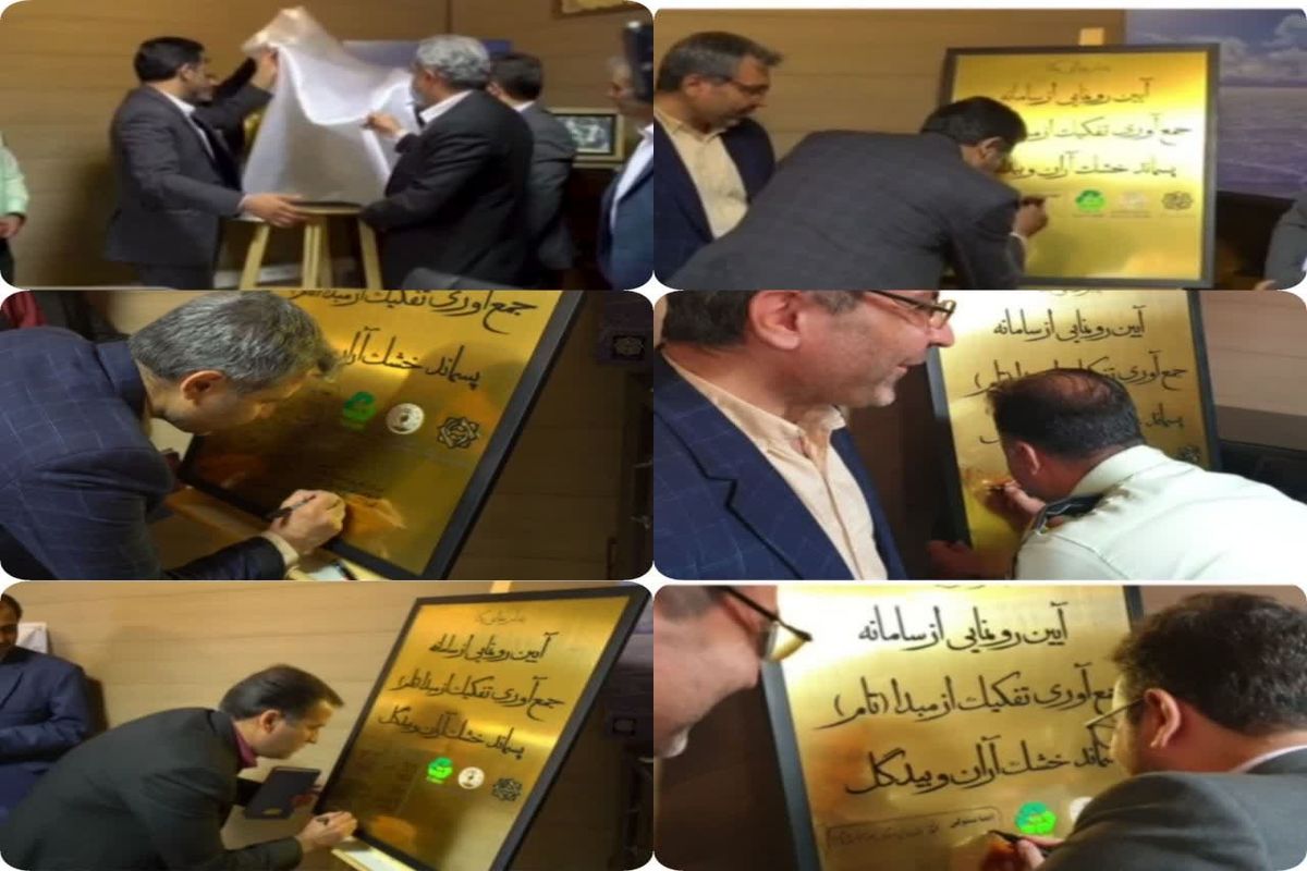 سامانه تام