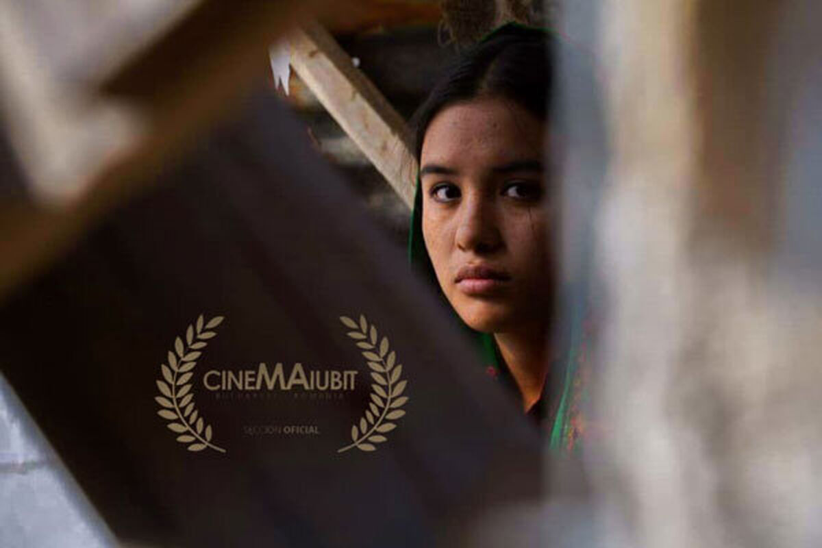 فیلم کوتاه داغی