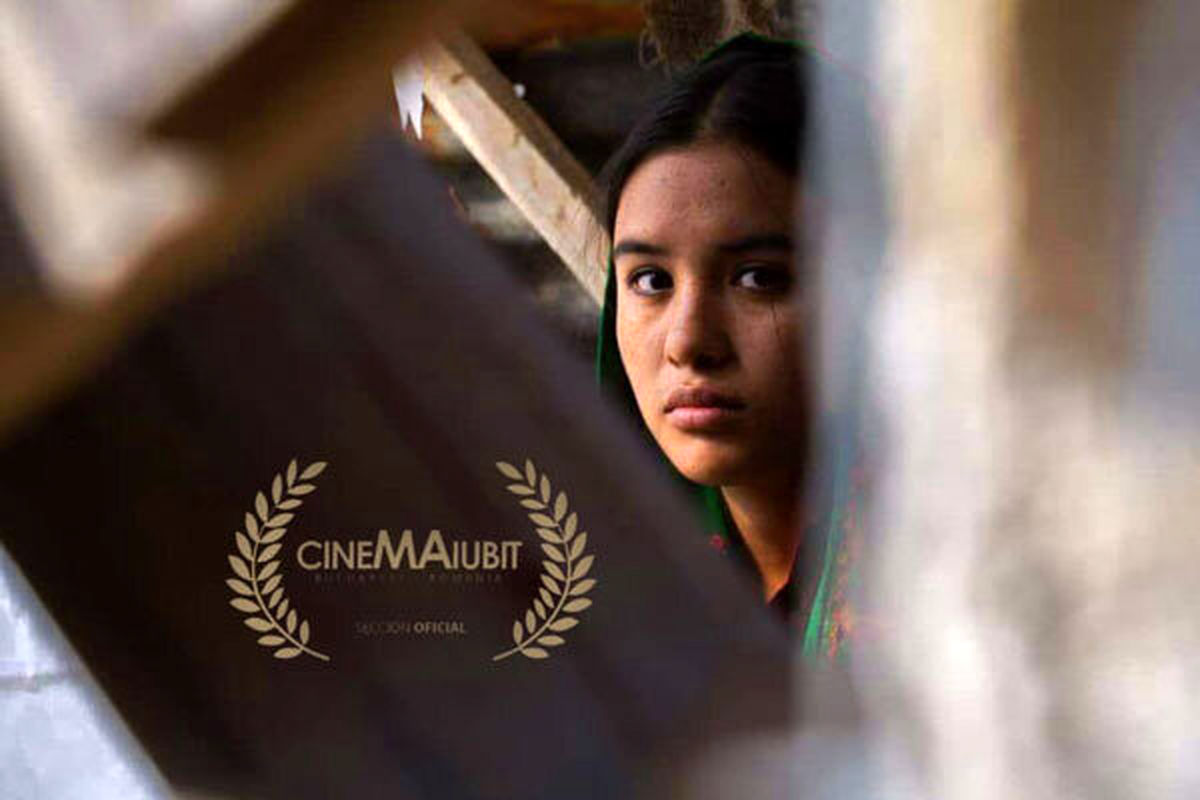 فیلم کوتاه داغی