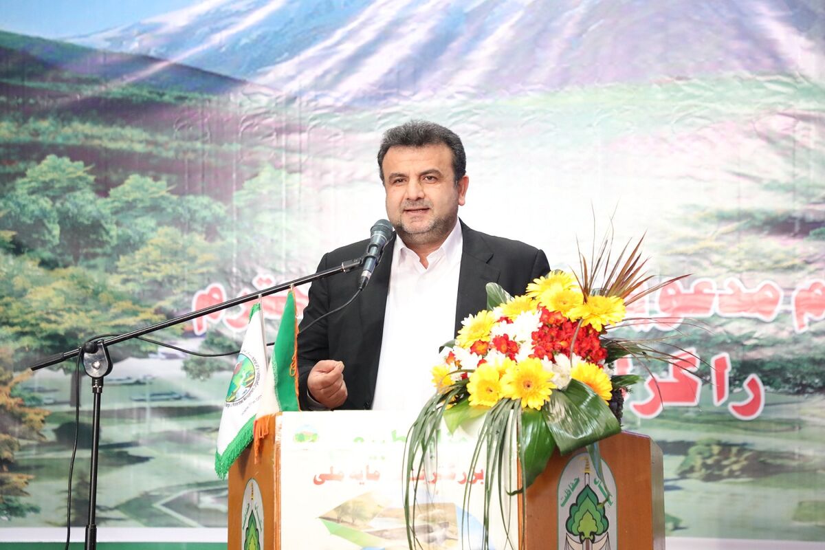 حسین زادگان
