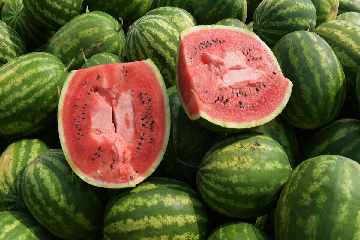 هندوانه
