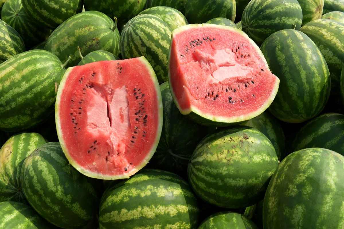 هندوانه