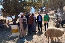 حضور خادمان حرم مطهر بانوی کرامت در جمع عشایر استان ایلام