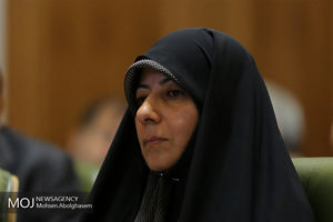 شهرداری به‌تنهایی نمی‌تواند بار هزینه خدمات شهری را در پایتخت به‌دوش بکشد