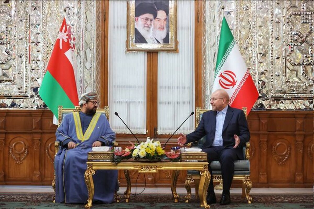 رئیس دیوان عالی سلطنت عمان و رئیس مجلس شورای اسلامی دیدار کردند