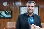پرداخت مطالبات گندمکاران ایلامی به‌صورت مرحله‌ای در حال انجام است