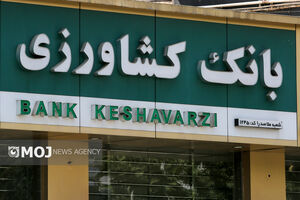 پرداخت بیش از  ۳ هزار میلیارد تومان تسهیلات به کشاورزان خراسان رضوی