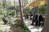 نتایج  پذیرفته شدگان مقطع ارشد با آزمون سراسری دانشگاه معارف قرآن و عترت (ع) اعلام شد