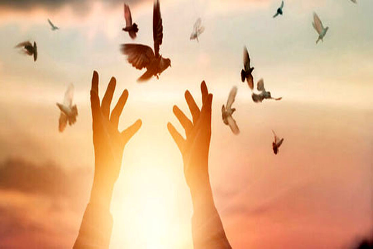 مصطفی+کیشانی