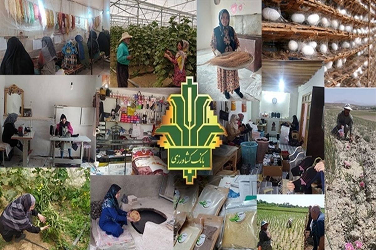 بانک کشاورزی