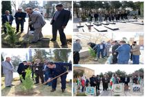 کاشت ۴۰ نهال توسط مخابرات منطقه اصفهان در 40 مرکز مخابراتی