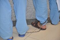 عاملان تیراندازی و نزاع دسته جمعی در شیراز دستگیر شدند