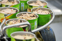 کنسرو ماهی ۲۰ درصد ارزان شد