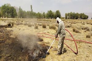 آتش‌سوزی عمقی در تالاب گندمان پیش از گسترش مهار شد