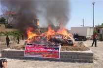 امحا یک‌هزار و ۲۰۰ کیلوگرم انواع موادمخدر غیر دارویی در ساری