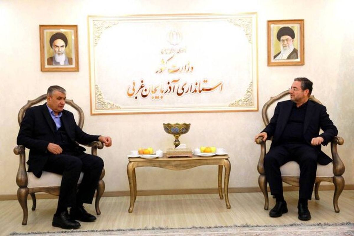 رئیس سازمان انرژی اتمی