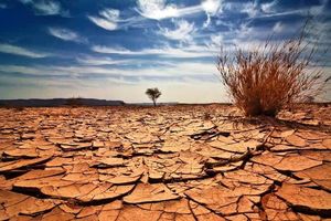 چهار دشت چهارمحال و بختیاری در وضعیت بحرانی قرار دارند