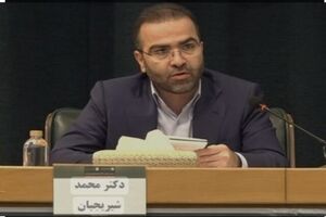 ورود دیر هنگام نهاده‌های حاکمیتی به پلتفرم‌های رمز ارز و طلا