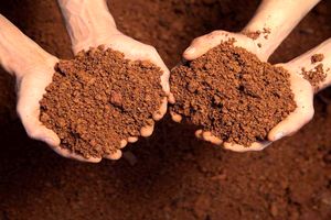 چطور از ماسک خاک رس استفاده کنیم؟