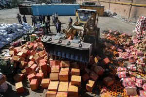 کشف بیش از ۵۰۰ تن محصولات کشاورزی قاچاق در هرمزگان