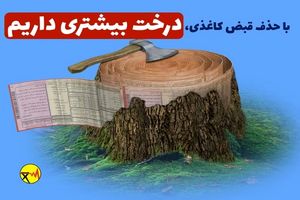 تلفات برق در البرز کاهش یافته است/نجات جان 320 درخت با حذف قبوض کاغذی