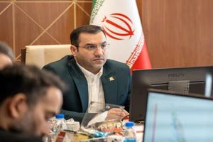 معاون وزیر کار از راه اندازی ۵۰ فروشگاه آنلاین برای عرضه محصولات مهارت‌آموزان خبر داد