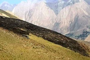 آتش سوزی در مراتع رینه مهار شد/ لغو پرواز امداد هوایی اطفاء حریق