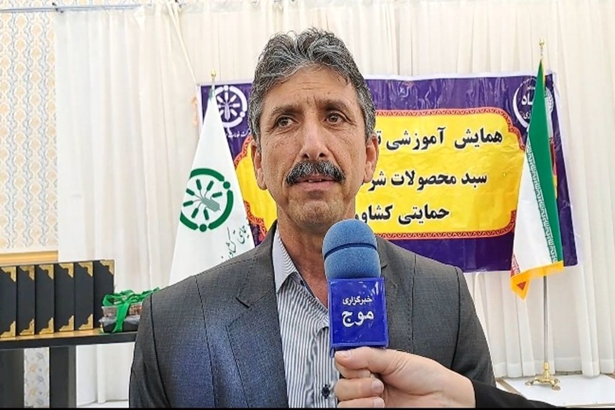 بیگی