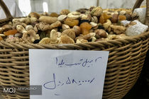 طفره رفتن رئیس اتحادیه فروشندگان آجیل و خشکبار از قیمت مصوب آجیل در آستانه شب یلدا