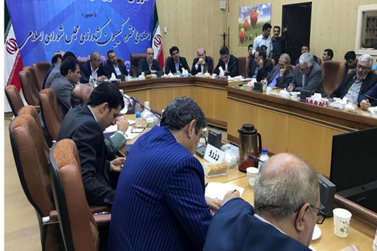 نشست شورای گفت و گوی دولت و بخش خصوصی