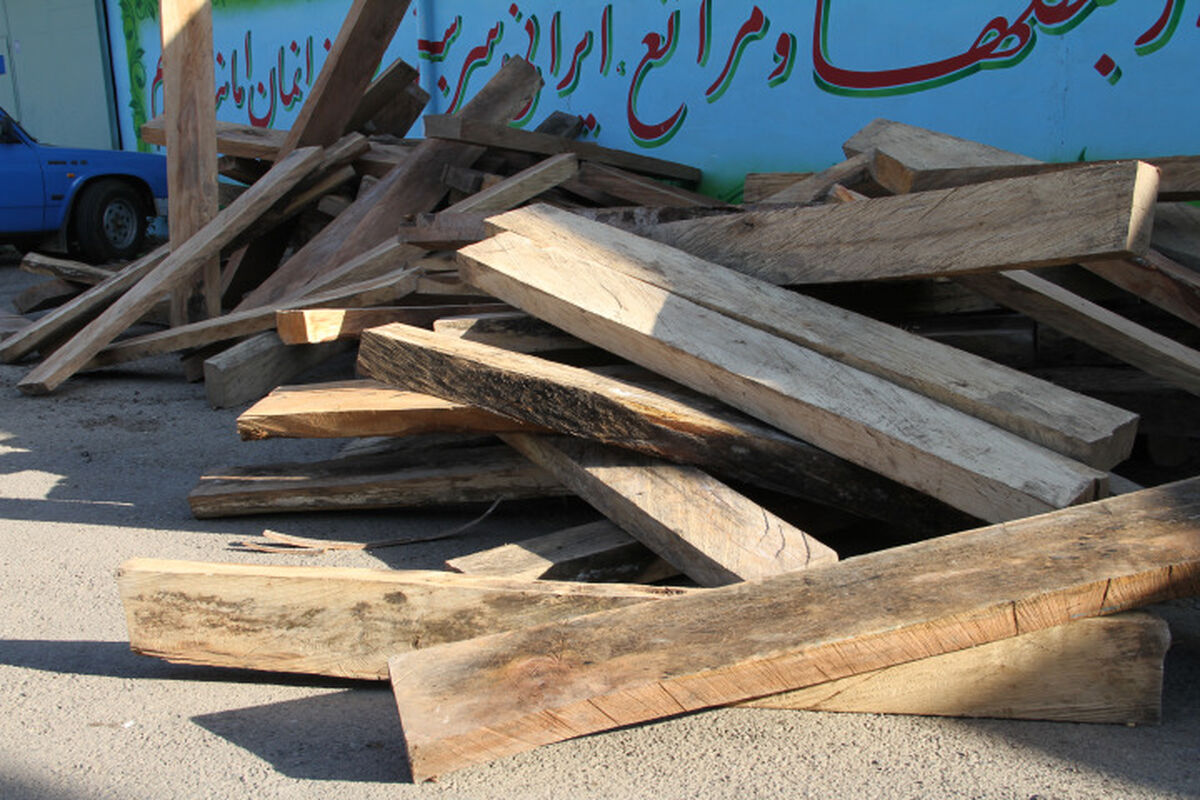 کشف چوب در اردبیل