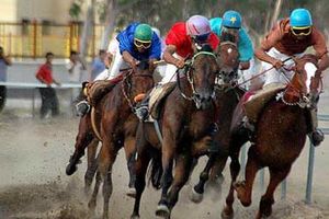 30 هیات ورزشی در شهرستان مهریز فعالیت دارد 