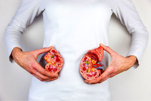 حفظ سلامت کلیه / راهنمای کامل برای یک رژیم غذایی برای داشتن کلیه سالم