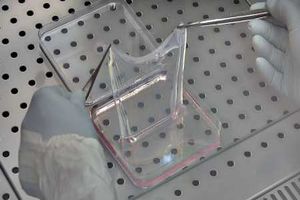 درمان بیماری پروانه‌ای 