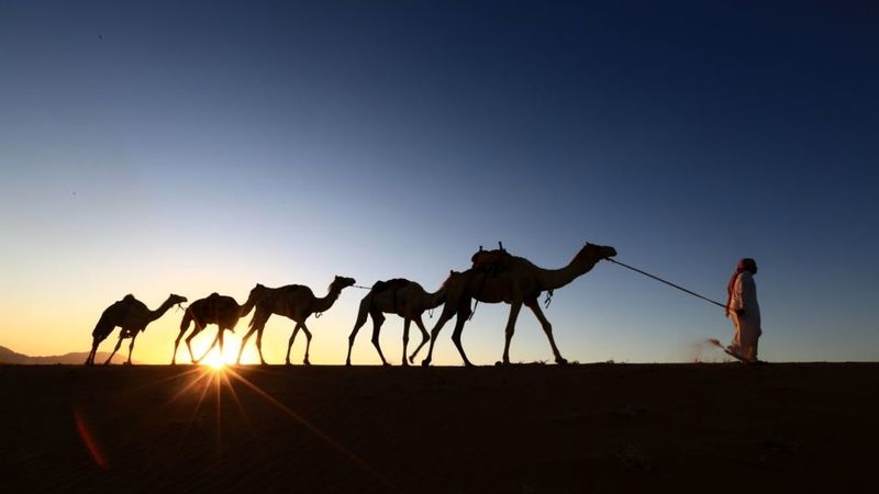 سرمایه گذاری عربستان در صنعت توریسم روسیه