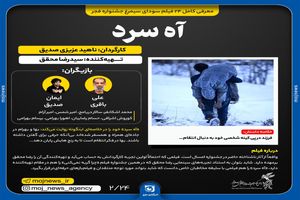 اینفوگرافیک/ فیلم آه سرد