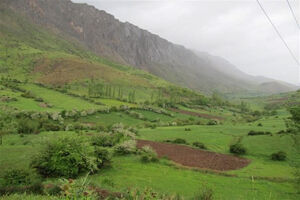 عملیات قرق مراتع قشلاقی شهرستان رومشکان آغاز شد